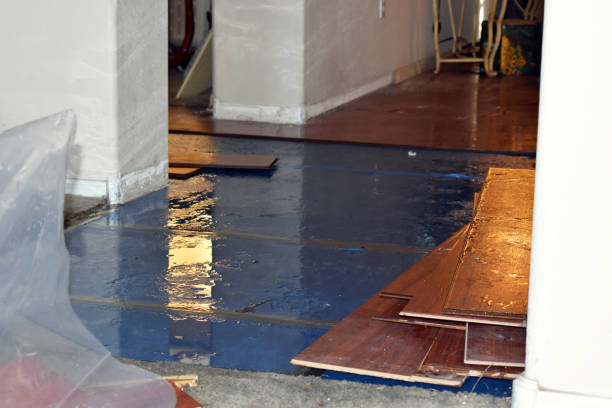 Professional Sewage Cleanup technician working in Coloma, WI