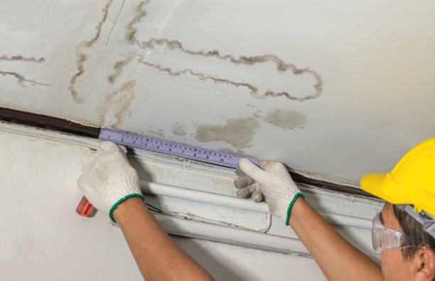 Reliable Sewage Cleanup contractor in Coloma, WI by Water Damage Irwin